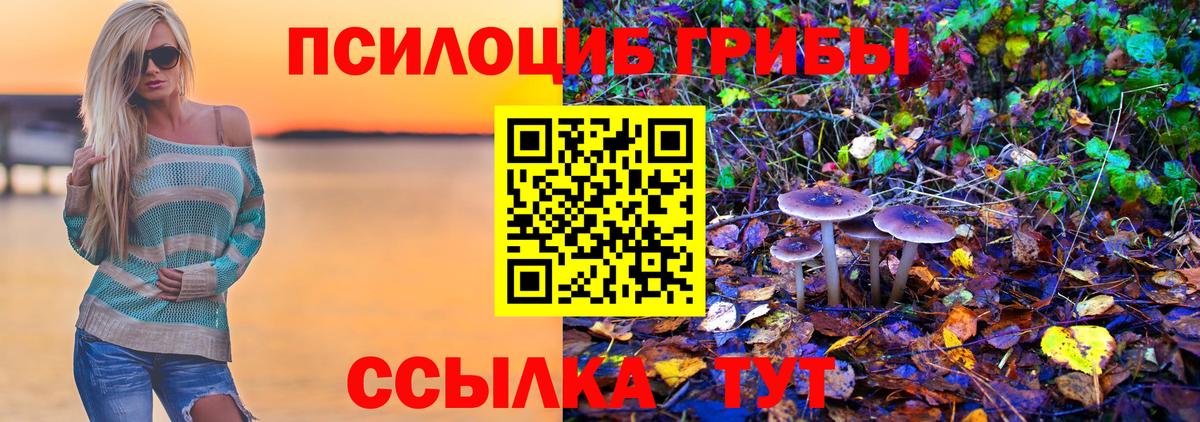 Галлюциногенные грибы прущие грибы Тулун