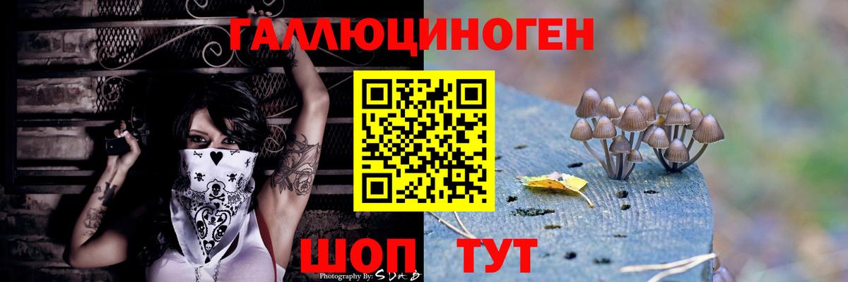 Тулун  Галлюциногенные грибы Psilocybe  Вход с VPN 